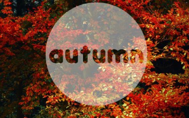 Autumn Leaves指弹谱_卢家宏_原版指弹六线谱_吉他独奏谱