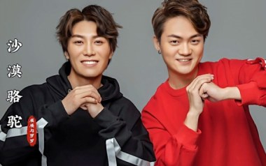 沙漠骆驼吉他谱_展展与罗罗_C调弹唱谱_高清六线谱