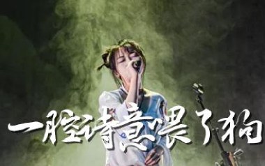 一腔诗意喂了狗吉他谱_花粥_G调弹唱六线谱_高清图片谱