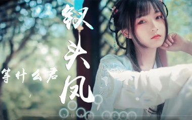 钗头凤吉他谱_等什么君_C调原版弹唱六线谱_高清图片谱