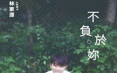 不负于你吉他谱_林家源_C调简单版弹唱六线谱_高清图片谱