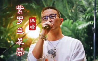 紫罗兰发带吉他谱_汪峰_G调弹唱六线谱_高清图片谱