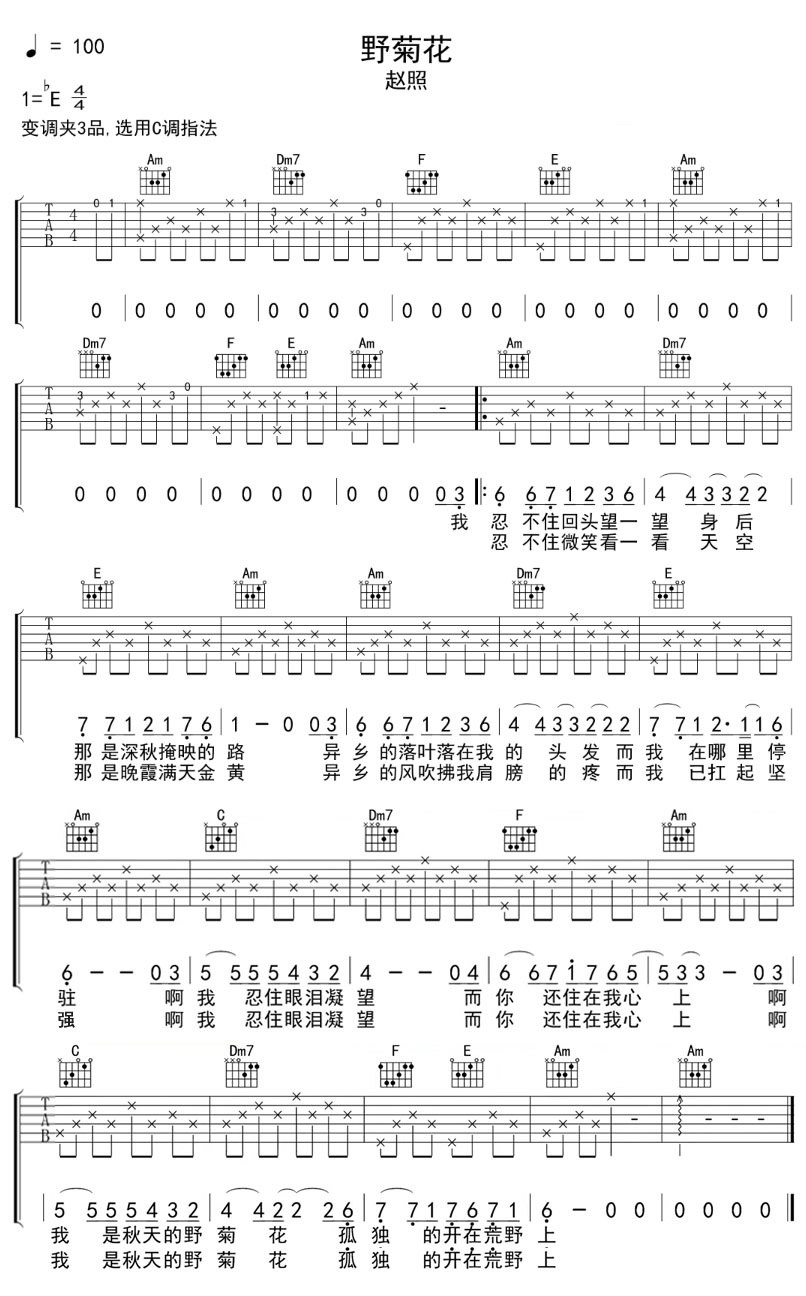 野菊花吉他谱预览图