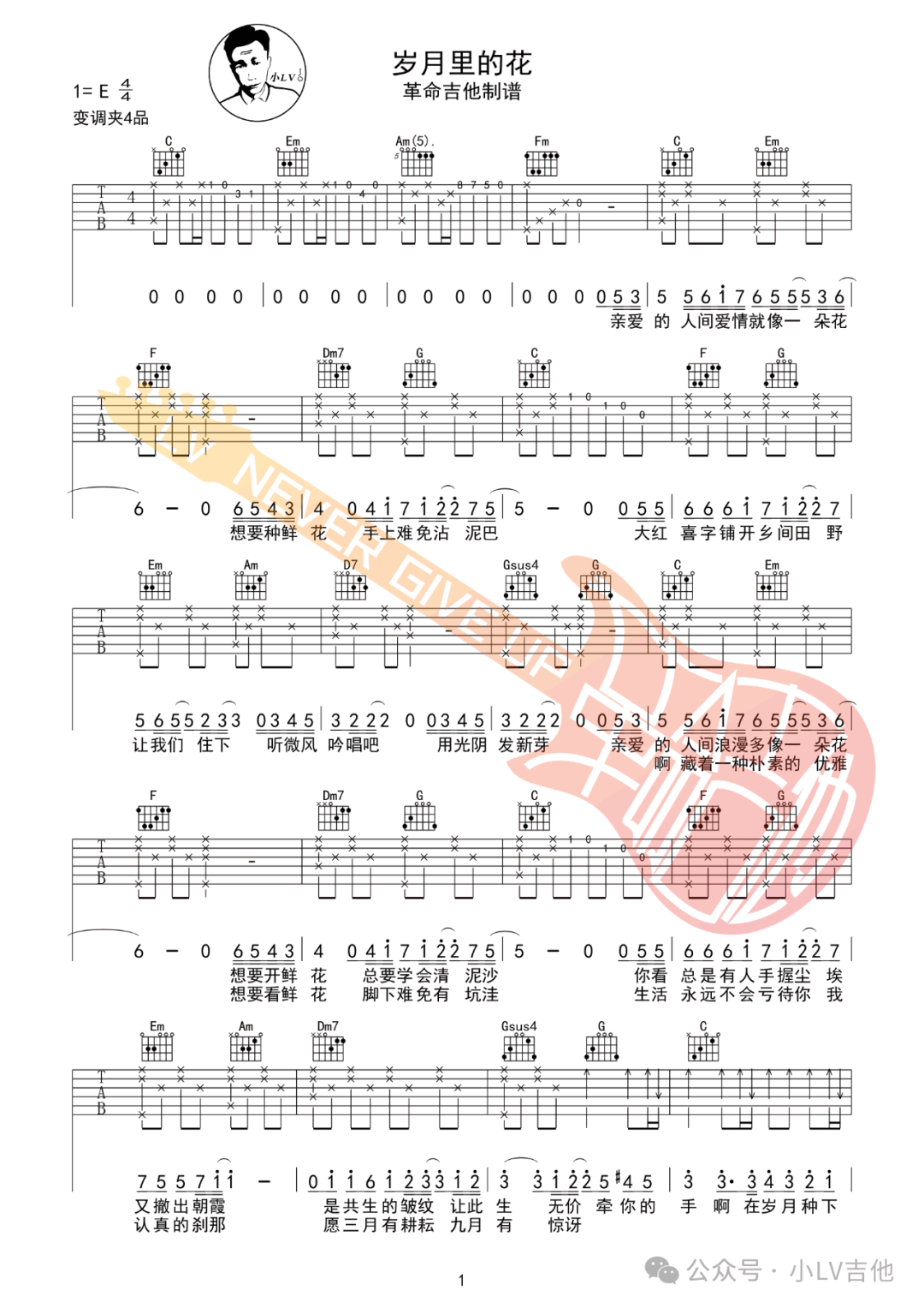 岁月里的花吉他谱预览图