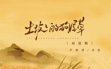 土坡上的狗尾草吉他谱_卢润泽_C调弹唱六线谱_高清图片谱